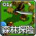 森林探险1
